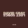 David Gray - January Rain